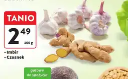 Intermarche Imbir i czosnek oferta