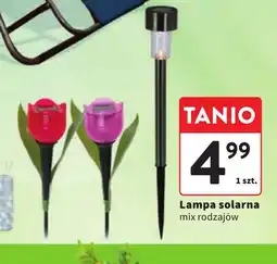 Intermarche Lampa solarna oferta