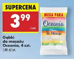 Biedronka Gąbki do masażu Oceania oferta