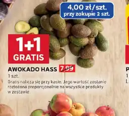 Stokrotka Awokado Hass oferta