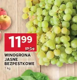 Stokrotka Winogrona jasne bezpestkowe oferta