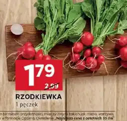 Stokrotka Rzodkiewka oferta