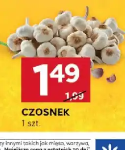 Stokrotka Czosnek oferta