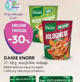 Stokrotka Danie Knorr oferta