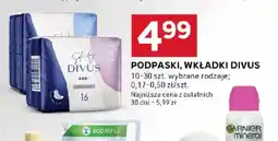 Stokrotka Podpaski, wkładki Divus oferta