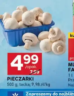 Stokrotka Pieczarki oferta