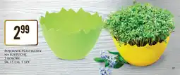 Dino Pojemnik plastikowy na rzeżuchę oferta