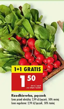 Biedronka Rzodkiewka oferta