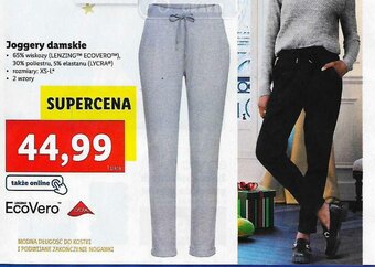 Lidl Joggery damskie oferta