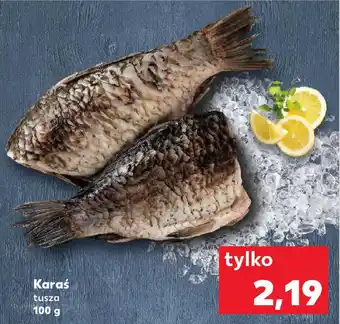Kaufland Karaś oferta