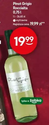 Żabka Pinot Grigio Roccialta oferta