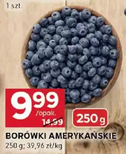 BORÓWKI AMERYKAŃSKIE