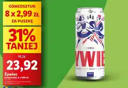 Lidl Żywiec oferta