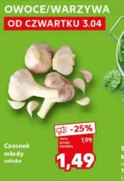 Kaufland Czosnek młody oferta