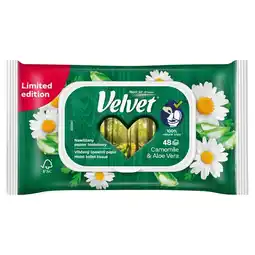 Delikatesy Centrum Velvet Camomile & Aloe Vera Nawilżany papier toaletowy 48 sztuk oferta