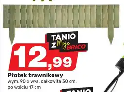 Płotek trawnikowy