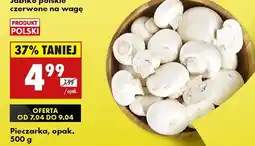 Biedronka Pieczarki oferta