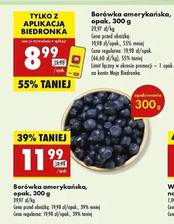 Biedronka Borówki amerykańskie oferta