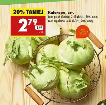 Biedronka Kalarepa oferta