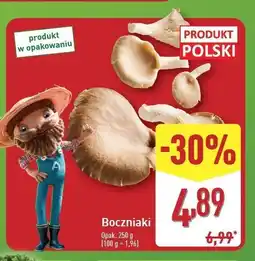 ALDI Boczniaki polska oferta