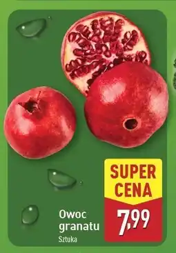 ALDI Granat oferta