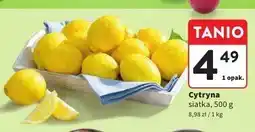 Intermarche Cytryna siatka 500g Intermarche oferta