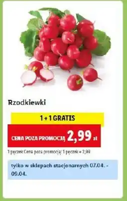 Lidl Rzodkiewki oferta