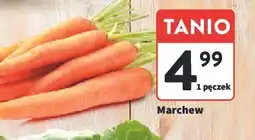 Marchewka
