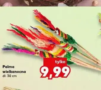 Kaufland Palma wielkanocna oferta