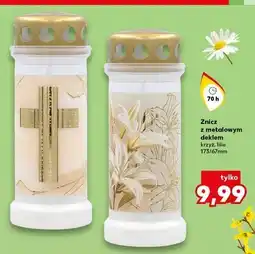 Kaufland Znicz lilie 70 h oferta
