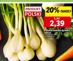 Lidl Cebula dymka ze szczypiorkiem pęczek oferta