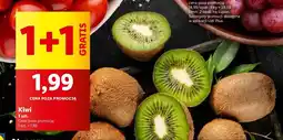 Lidl Kiwi oferta