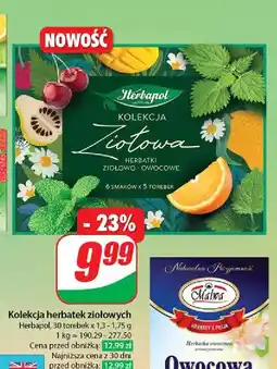 Dino Zestaw herbat ziołowych Herbapol oferta