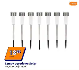 Action Lampy ogrodowe Solar oferta