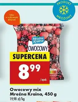 Biedronka Mix owocowy Mroźna kraina oferta
