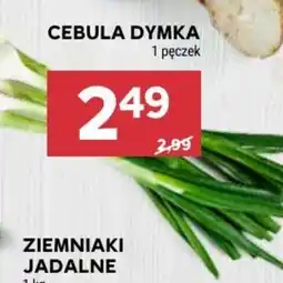Stokrotka Market Cebula dymka oferta