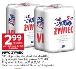 Stokrotka Optima Piwo Zywiec oferta