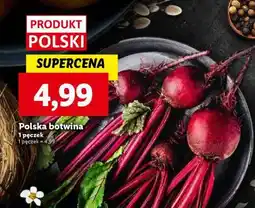 Lidl Polska botwina oferta