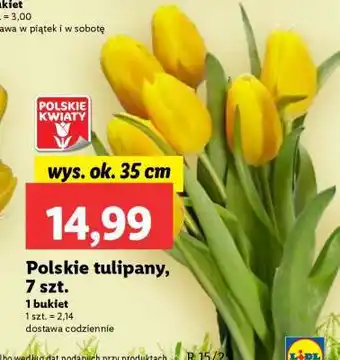 Lidl Polskie tulipany, 7 szt oferta