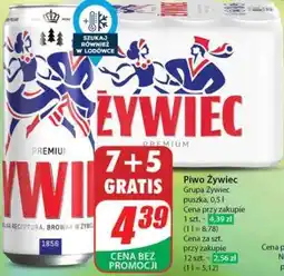 Dino Piwo Żywiec oferta