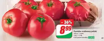 Dino Pomidor malinowy polski oferta