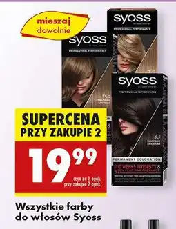 Biedronka Wszystkie farby do włosów Syoss oferta