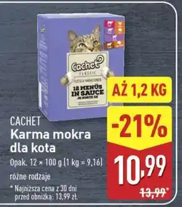ALDI Cachet Karma mokra dla kota oferta