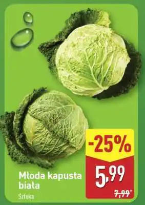 ALDI Młoda kapusta biała oferta