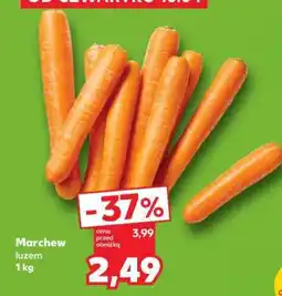 Kaufland Marchew luzem 1 kg oferta