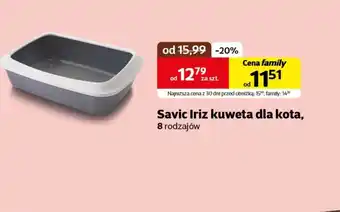 Kakadu Kuweta dla kota Savic oferta