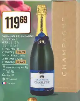 Dino Szampan karton Charlyne oferta
