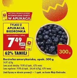 Biedronka Borówki amerykańskie oferta