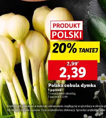 Lidl Polska cebula dymka oferta