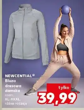 Kaufland Bluza dresowa xl-xxxl Newcential oferta